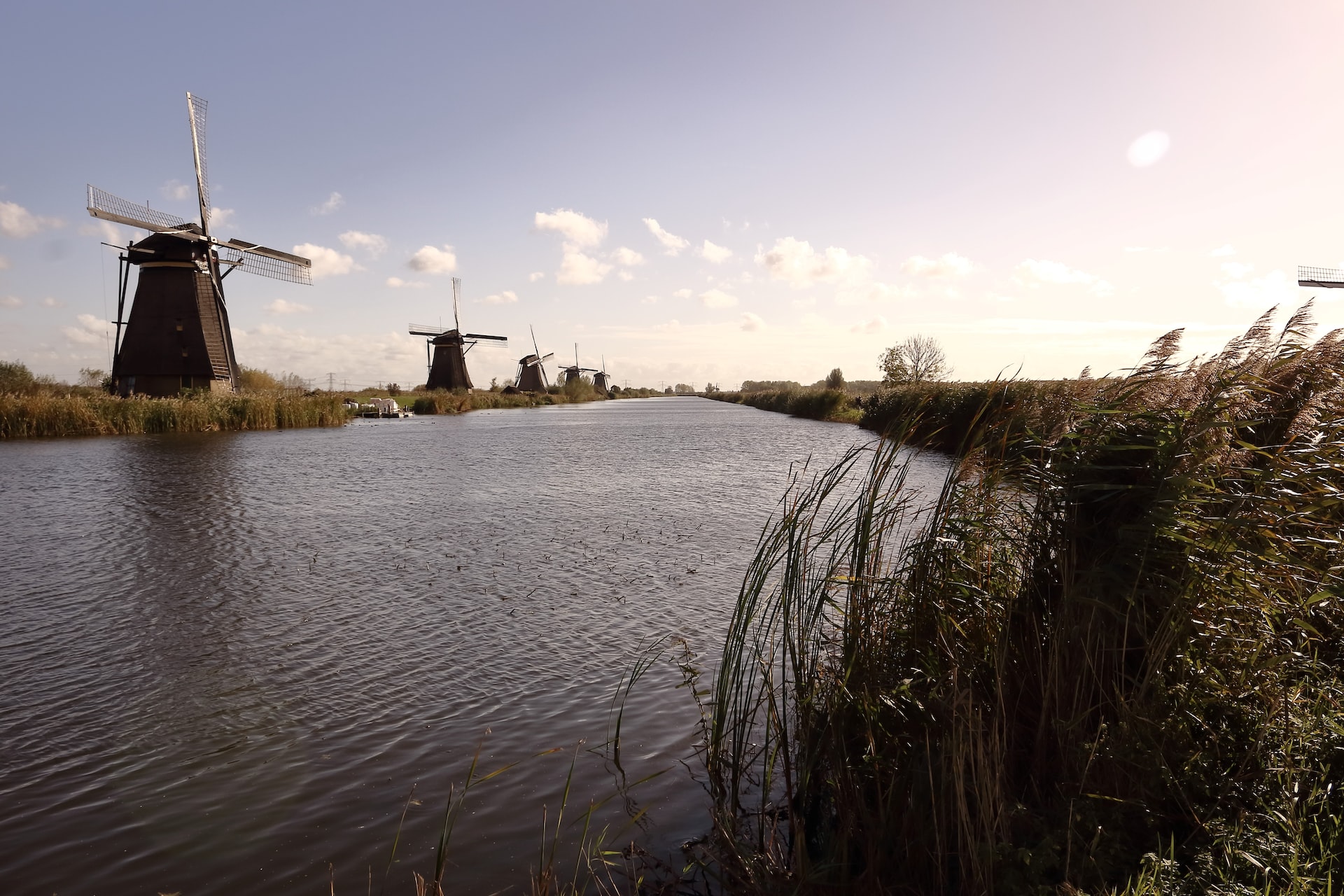 Want to Learn the Dutch Language? Here Are the Facts to Know